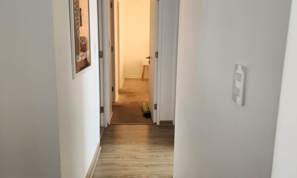 8d443361-63a0-4fbc-9af7-2ac6dcebdeb0