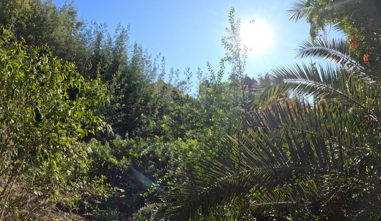 Screenshot_20250708_171000_GoPro Quik