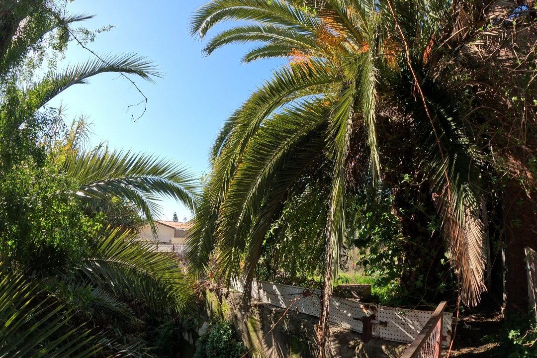 Screenshot_20250708_171023_GoPro Quik