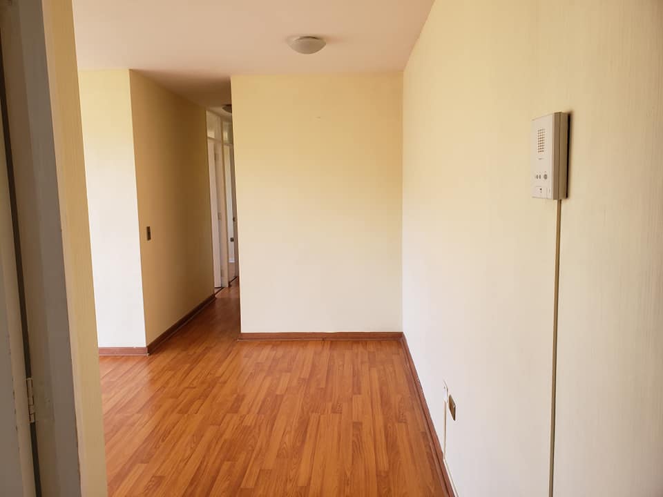 141282503_10223997131531186_7936503467634526006_n